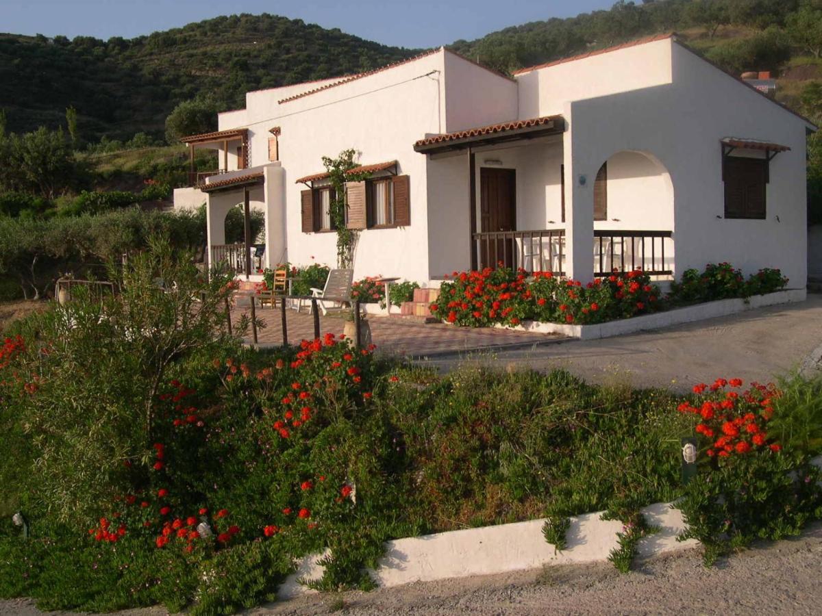 Limenaria Apartments Mochlos Zimmer foto